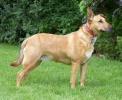 ZMay-24-2007-0018.jpg