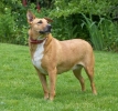 ZMay-24-2007-0034.jpg