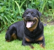 ZMay-24-2007-0067.jpg
