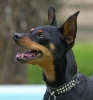 ZMay-24-2007-0147.jpg