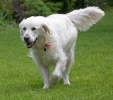ZMay-24-2007-0202.jpg