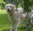 ZMay-24-2007-0234.jpg
