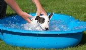 ZMay-24-2007-0318.jpg