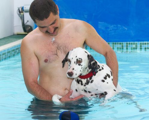 Mia and Zbig
Ključne besede: Mia Zbig swimming dog canine hydrotherapy dog swimming Dalmatian Ritz Canine