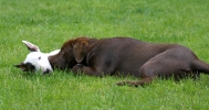 ZMay-29-2007-0067.jpg