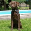 ZMay-29-2007-0110.jpg