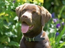 ZMay-29-2007-0128.jpg