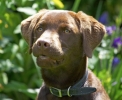 ZMay-29-2007-0131.jpg