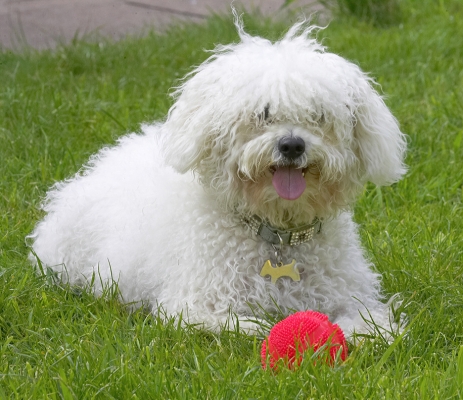 Two can play this game!
Anahtar kelimeler: Oscar Bolognese