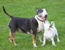 ZMay-5-2007-0091.jpg