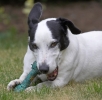 ZMay-06-2007-0023.jpg