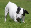 ZMay-06-2007-0041.jpg