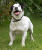 ZMay-06-2007-0055.jpg