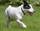 ZMay-06-2007-0076.jpg