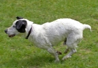 ZMay-06-2007-0111.jpg