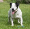 ZMay-06-2007-0122.jpg
