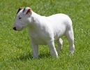ZMay-07-2007-0003.jpg