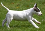 ZMay-07-2007-0010.jpg