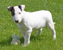 ZMay-07-2007-0021.jpg