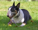 ZMay-07-2007-0023.jpg
