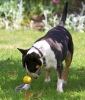 ZMay-07-2007-0027.jpg