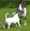 ZMay-07-2007-0029.jpg