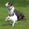 ZMay-07-2007-0033.jpg
