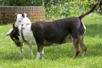 ZMay-07-2007-0153.jpg