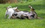 ZMay-07-2007-0175.jpg