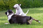 ZMay-07-2007-0190.jpg