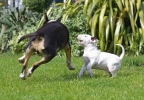 ZMay-07-2007-0216.jpg
