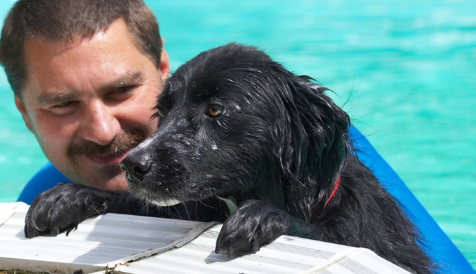 OK, can I get out now?
Palabras clave: Zbigniew Barney Collie X swimming pool Your Dog magazine May 2007