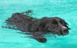ZMay-08-2007-0006.jpg