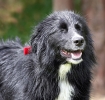 ZMay-08-2007-0058.jpg