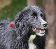 ZMay-08-2007-0060.jpg