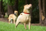 ZMay-09-2007-0009.jpg
