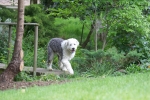 ZMay-09-2007-0039.jpg