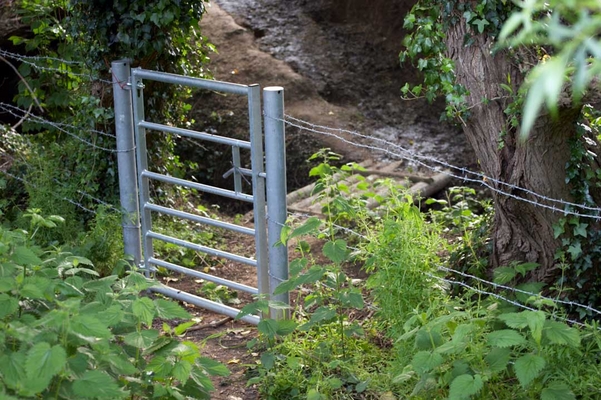 A secret path
Palabras clave: Country countryside Farm Gate