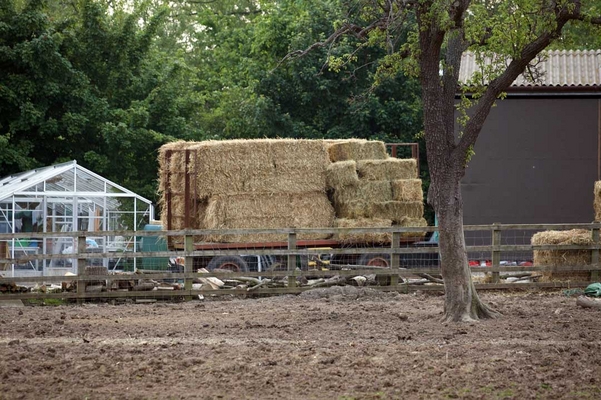 Yummy, breakfast, lunch and dinner!!
New delivery of fresh straw and hay from Robert Floyd.
Anahtar kelimeler: Animal Farm Farmyard Feed greenhouse Hay Straw