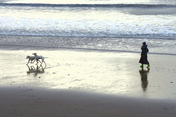 Leading the way eh

