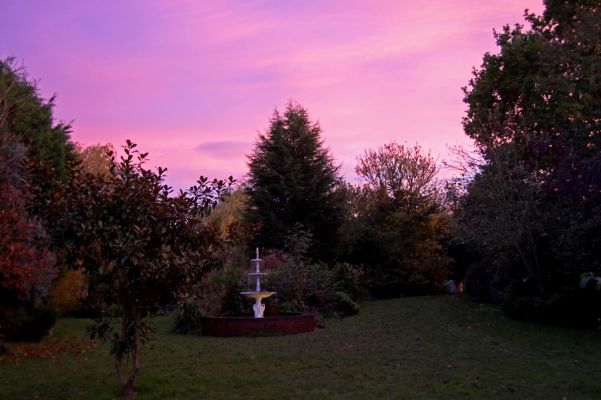 Red sky at night - yippee
Garden at Whitecroft bathed in November sunset
Palabras clave: Whitecroft fountain November sunset garden