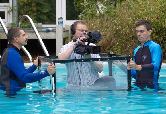 And down he goes!
Schlüsselwörter: Alun cameraman Grzegorz Milan BBC Countryfile November 8 2006 swimming pool