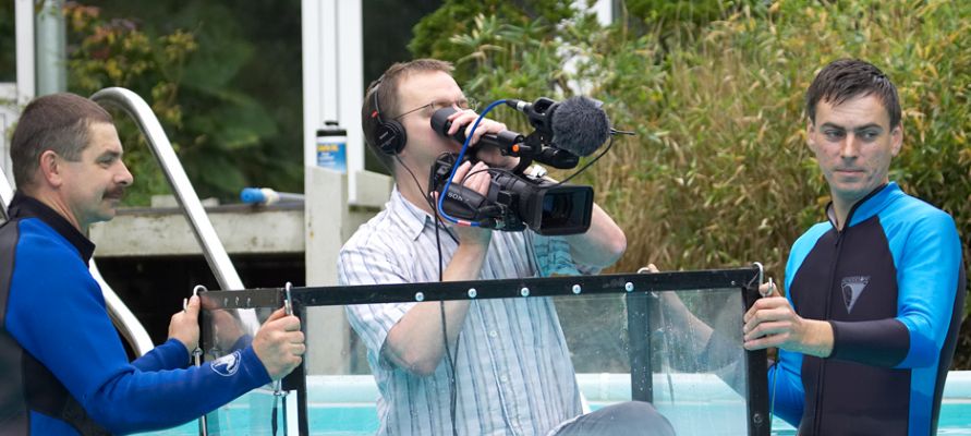 Hope the pig is performing!
Alun Beach filming the swimming Kurobuta pig for BBC Countryfile.  Alun is in the floating tank, so he can take "over-under" shots.
Schlüsselwörter: Alun camerman Grzegorz Milan BBC Countryfile November 8 2006 swimming pool