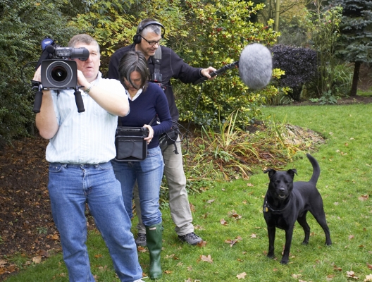 Have you met my new friends
Filming Marjorie taking photos of the doggie guests for the "Impress Me" television programme.  Celine is watching the activities on a monitor.
Ključne besede: Camera Celine Charlie Chow Chris Crew Dog Dogs Filming Labrador RDF Sound man Television