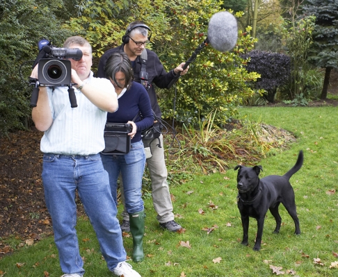 I'm not fazed by all this attention
Filming Marjorie taking photos of the doggie guests.
Schlüsselwörter: Camera Celine Charlie Chow Chris Dog Dogs Filming Labrador RDF Television