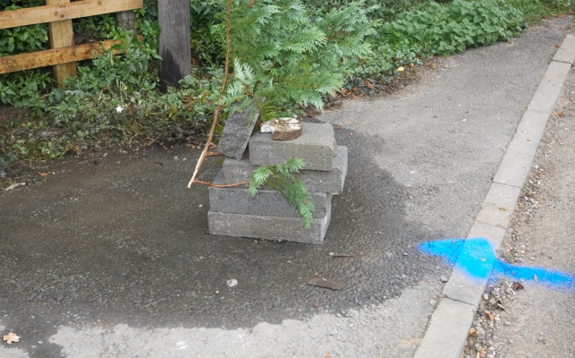 The Broken Water Meter
We had a leak at a pig trough.  Pavel couldn't find a way to turn off the water to the trough, so turned off all of our water.  When he tried to turn it back on, he broke off the valve next to our water meter.  Severn Trent came along and painted a big blue arrow and gave us some bottles of water.  The pile of blocks was to try to hold down the lid to the water meter/valve.
Ključne besede: Environment Leak Severn Trent Track Water meter Water Usage Whitecroft