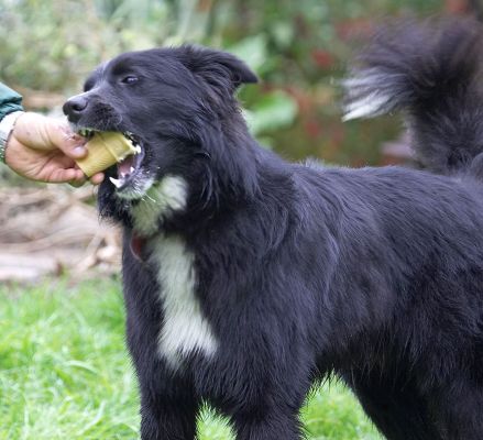 Barney Enjoying His Ice Cream
Watch your fingers....
Schlüsselwörter: Barney haddock ice cream cone fingers
