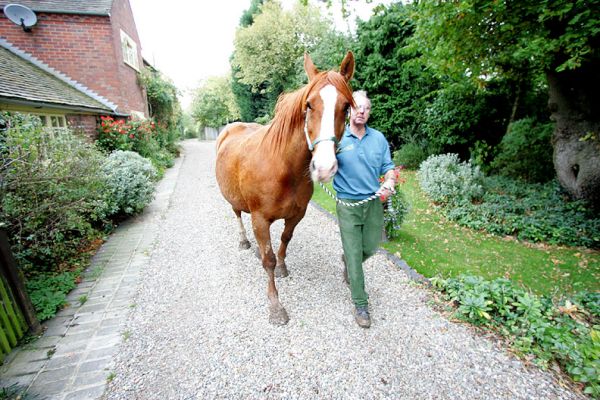 Vic Walking Ash the Horse Down Our Driveway
Moving Ash from one field to another --- where the grass is greener.  She was delighted to have her new head collar put on, and enjoyed the adventure of the walk.
Keywords: Ash horse Vic driveway head collar