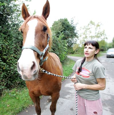 Ash the Horse and Marjorie
Ever tried to pose a big horse?  And most animals don't like the big black "eye" of the camera lens, so stare away.
Anahtar kelimeler: Ash horse Marjorie