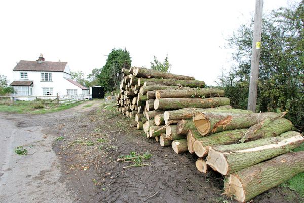 Lumber Stacked At the Roadside
Woodman's Cottage in the background.  The lumber is stacked in the triangular area owned by us at the bottom (southern) end of the track.  29 October 2005
Ключові слова: Woodman's Cottge Lord's Wood lumber timber wood sawmill